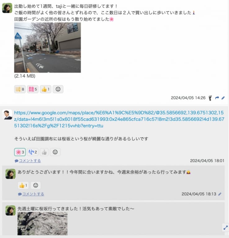 9ki4ug39-8c6x2laf0z2zp5zhi6nbifl.jpg