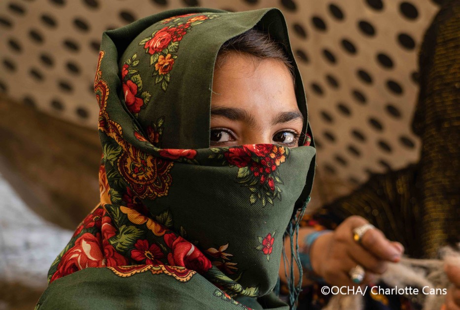 アフガニスタンで人道支援活動を再開しました ―農閑期や、今、起きている食糧危機を踏まえ、種子、農具、肥料などを配布