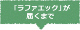 「ラファエック」が届くまで
