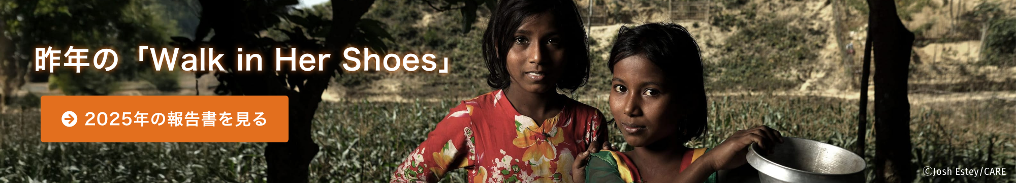 2024年のサイトを見る