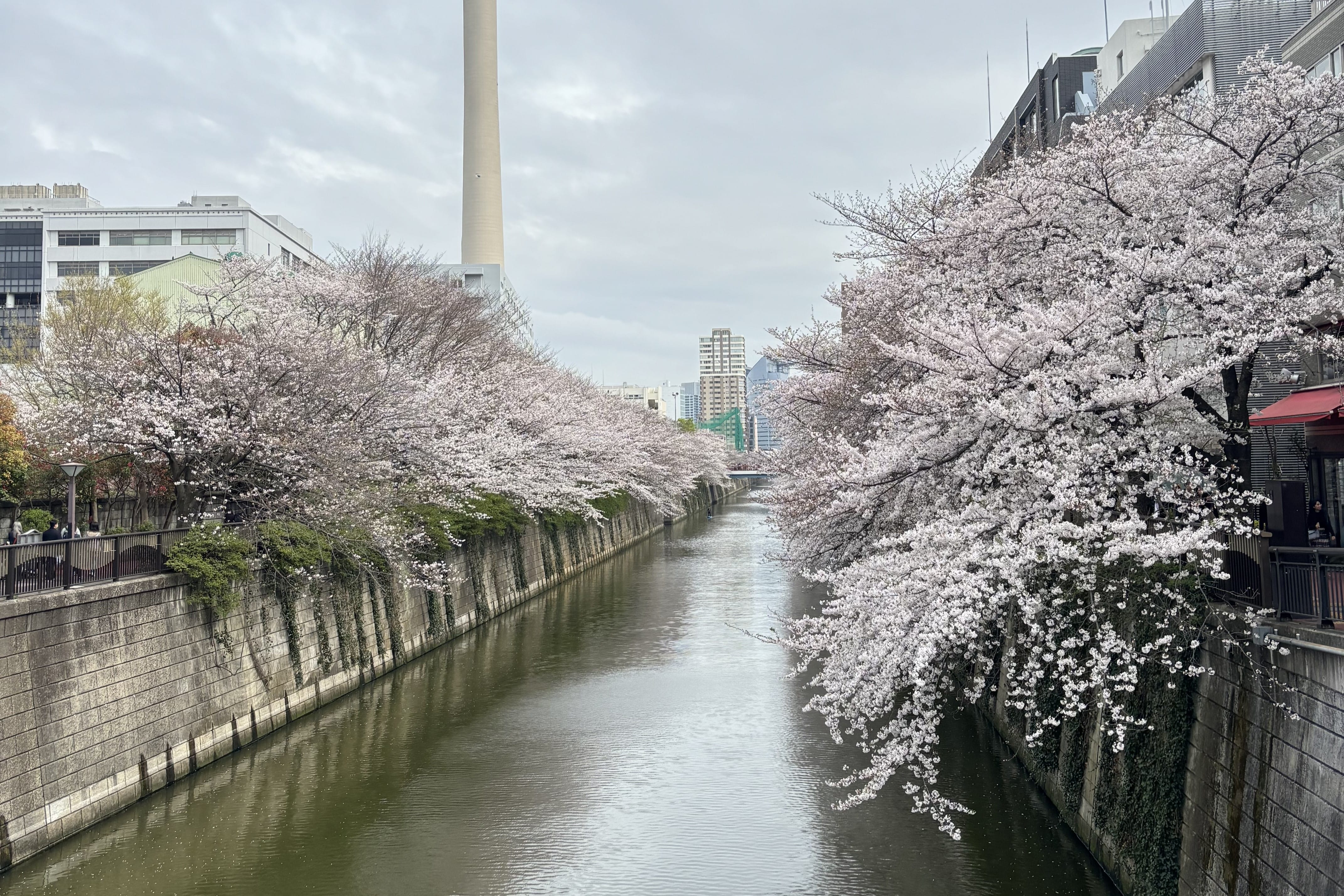 ウォーキング・パートナーの取組紹介 vol.6　～森乳スマイル俱楽部編～