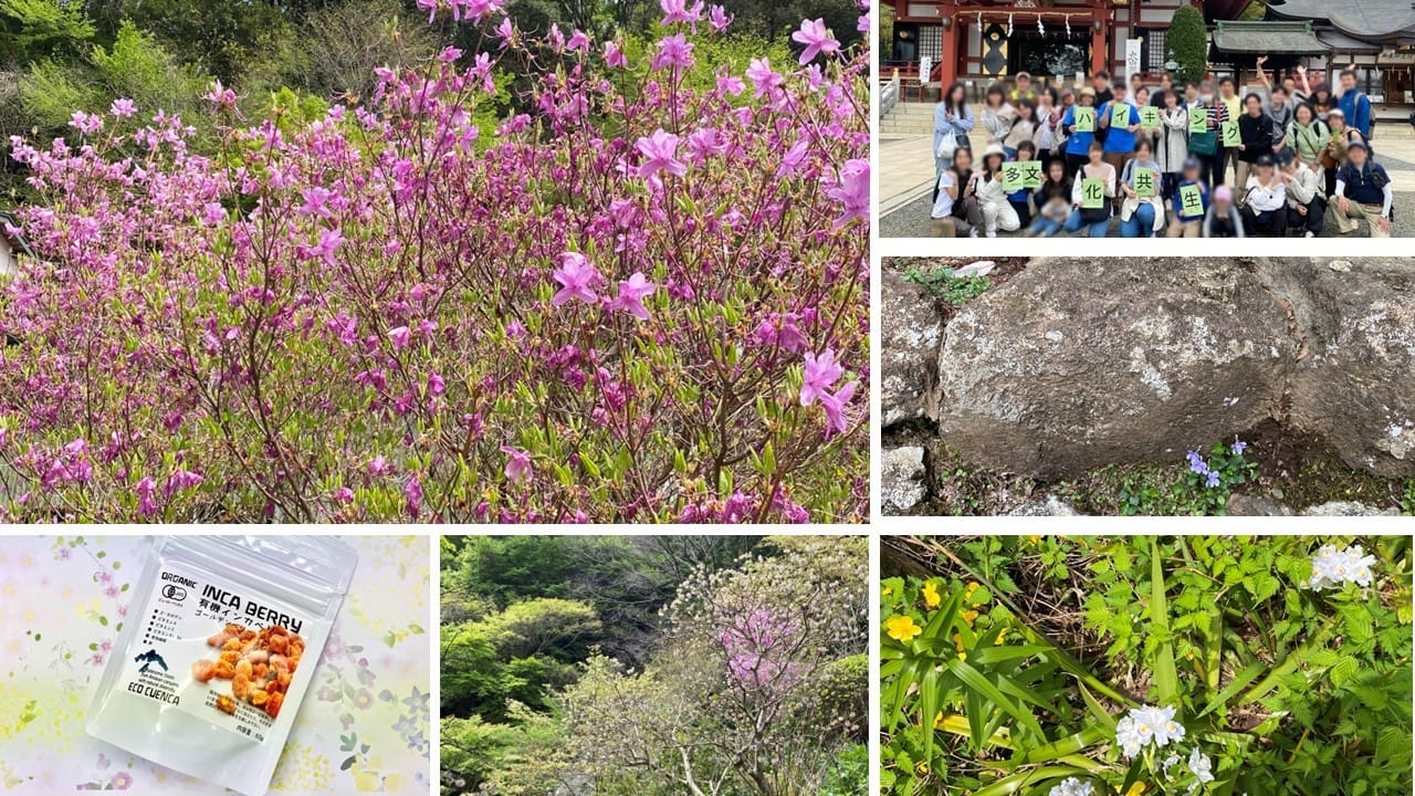 ウォーキング・パートナーの取組紹介 vol.11 〜ワールディング編〜