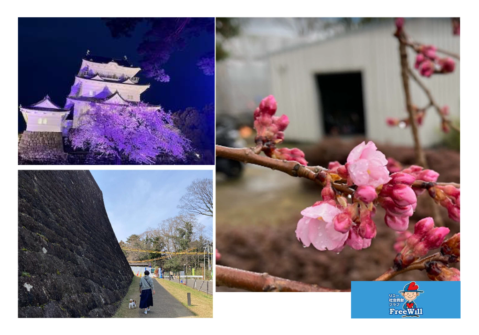 ウォーキング・パートナーの取組紹介 vol.15 〜リコー社会貢献クラブ・FreeWill編〜