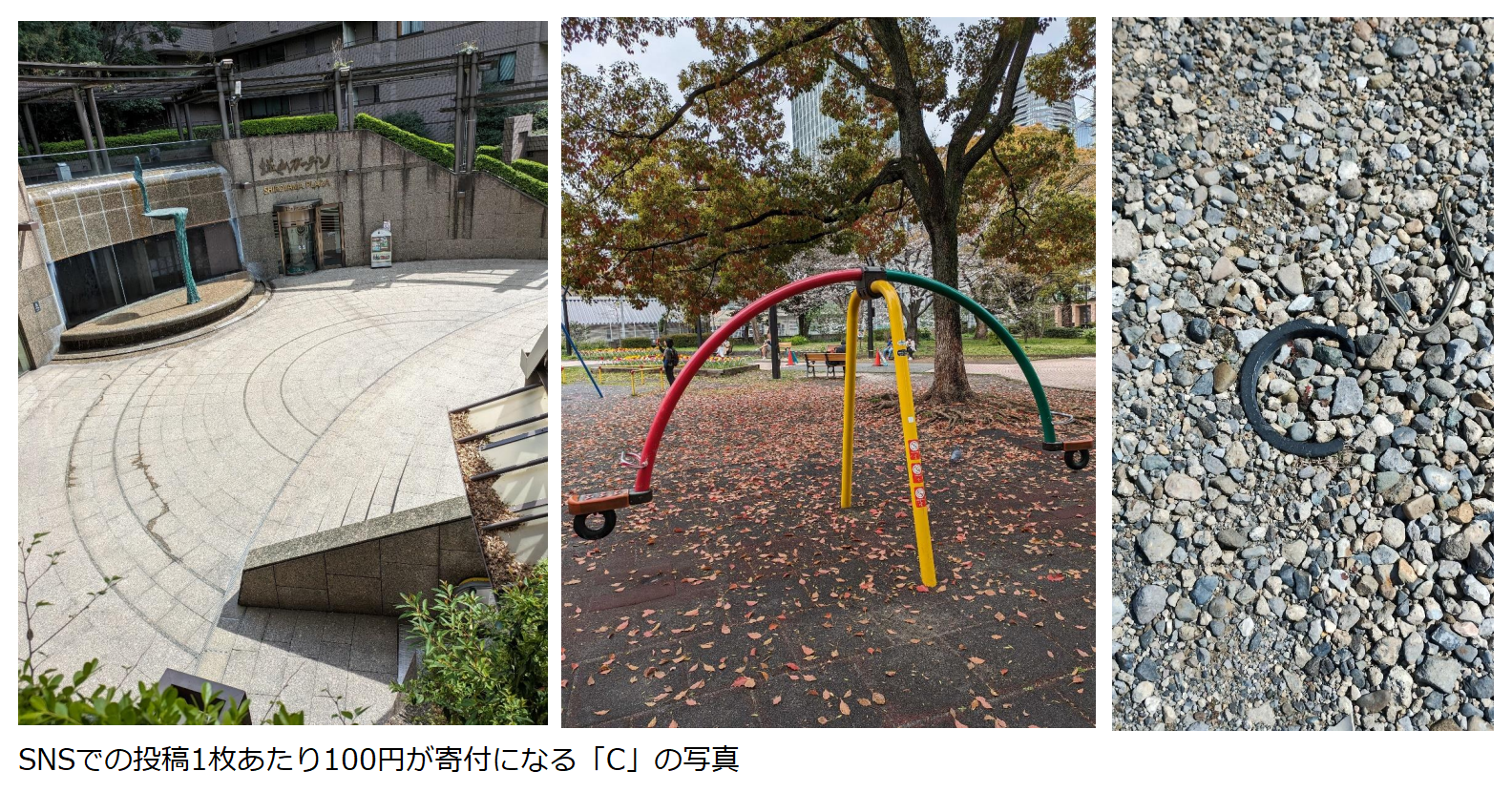 ウォーキング・パートナーの取組紹介 vol.8 〜ユーロモニターインターナショナル編〜