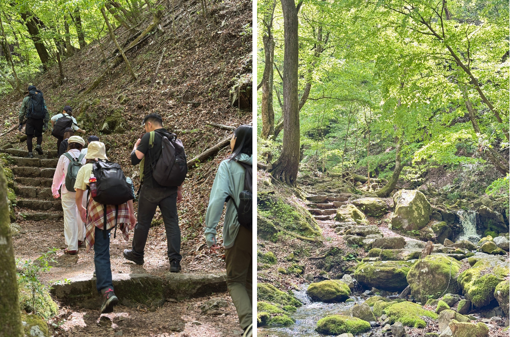 ウォーキング・パートナーの取組紹介 vol.9 〜株式会社ワールディング編〜